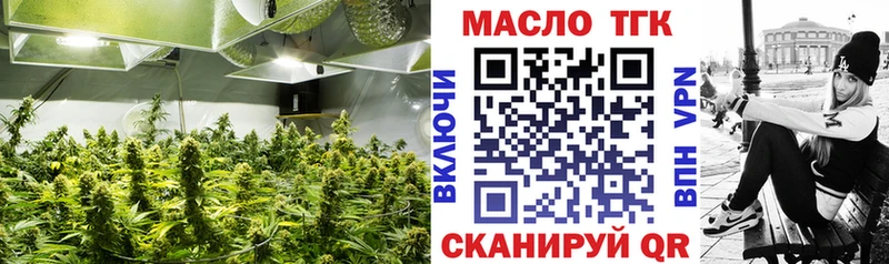 где можно купить наркотик  Берёзовка  ТГК Wax 